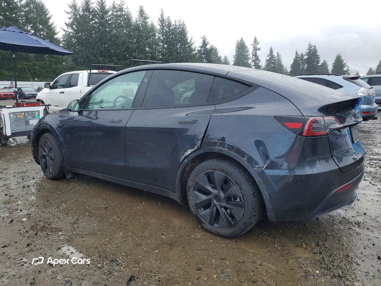 Tesla Model Y 2025