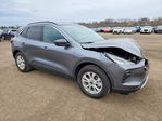 Ford Escape 2024