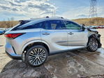 Lexus RX 2023