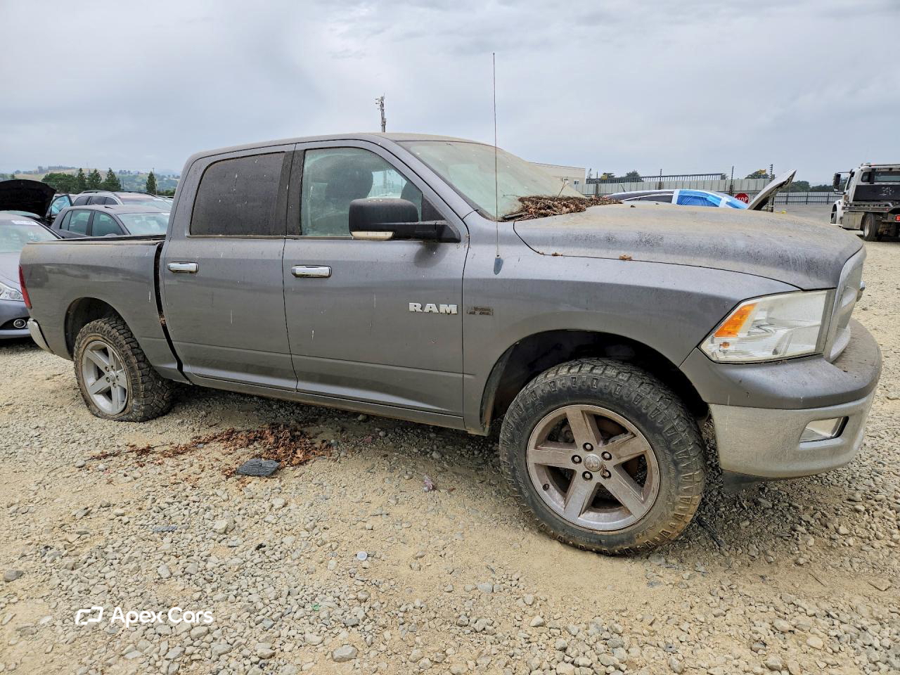 Dodge RAM 2010