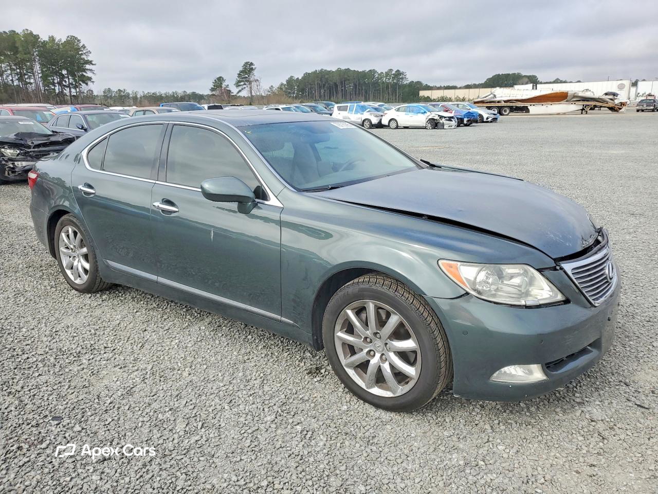Lexus LS 2008