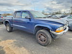 Dodge Dakota 2004