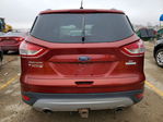 Ford Escape 2016