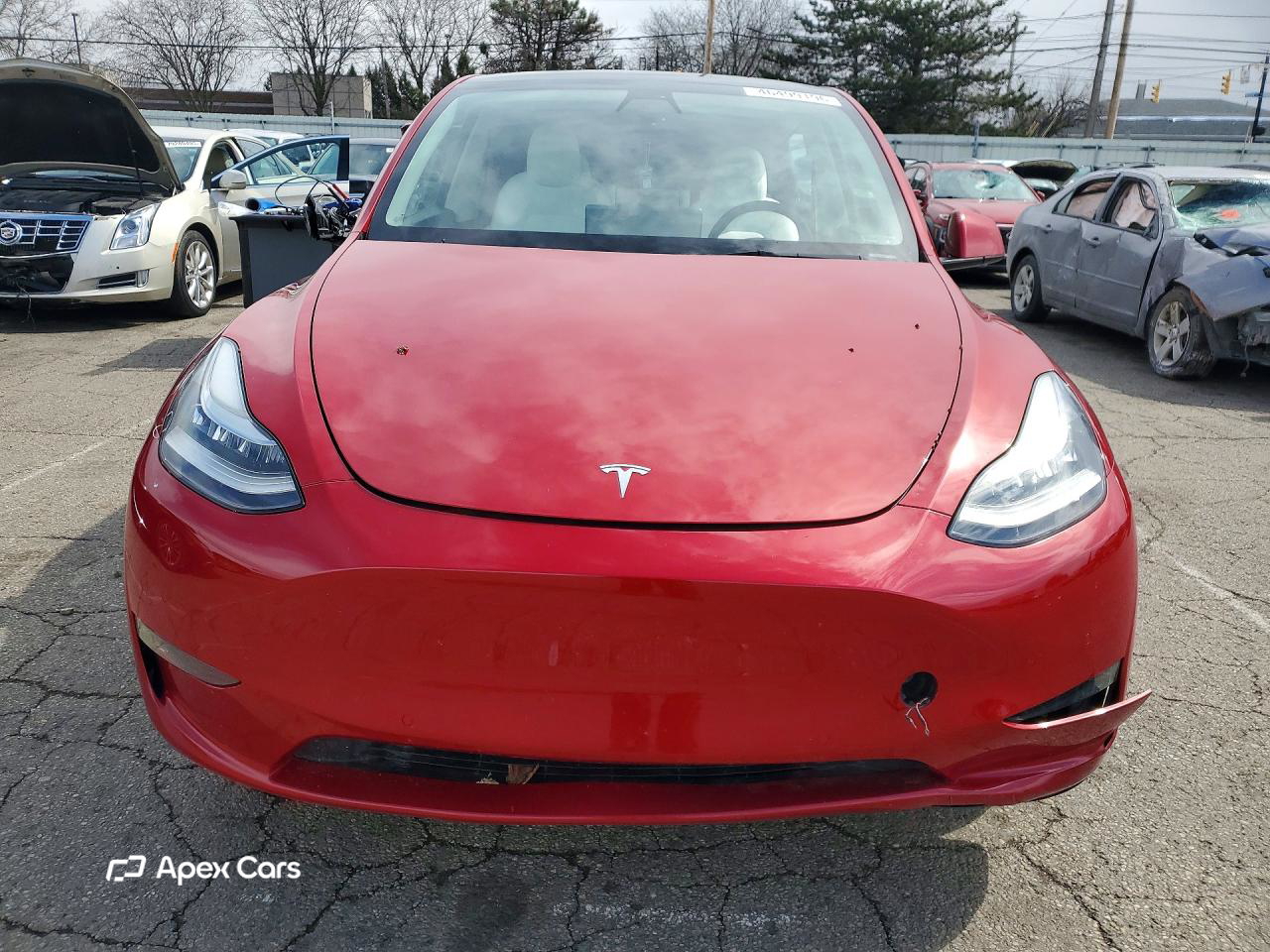 Tesla Model Y 2022