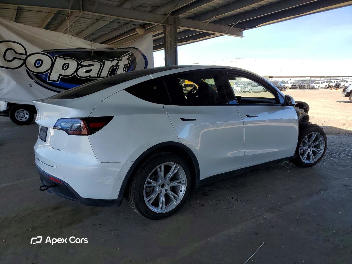 Tesla Model Y 2020