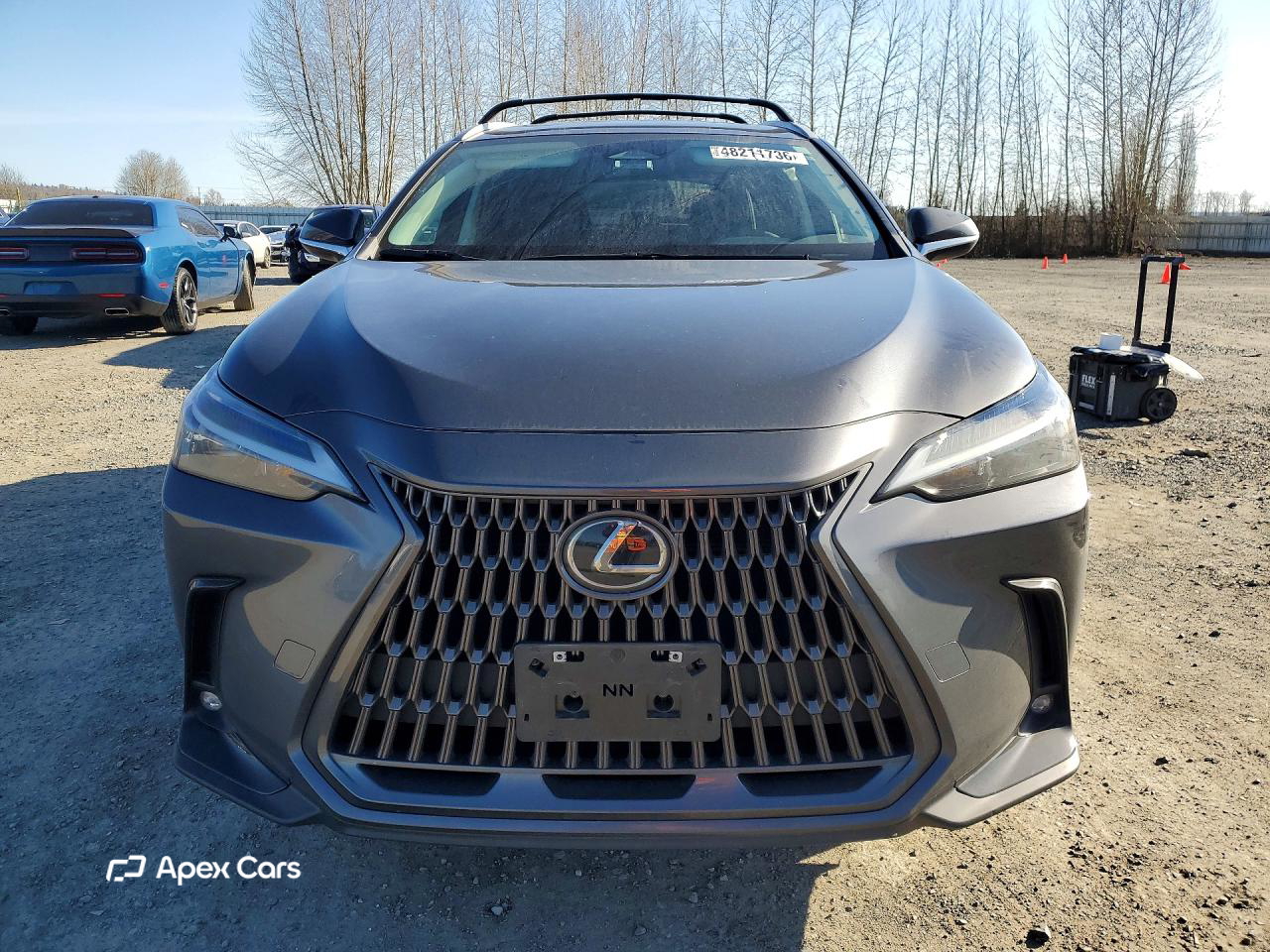 Lexus NX 2024