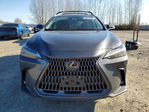 Lexus NX 2024