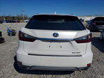 Lexus RX 2021