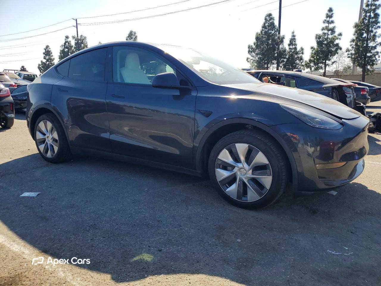 Tesla Model Y 2024