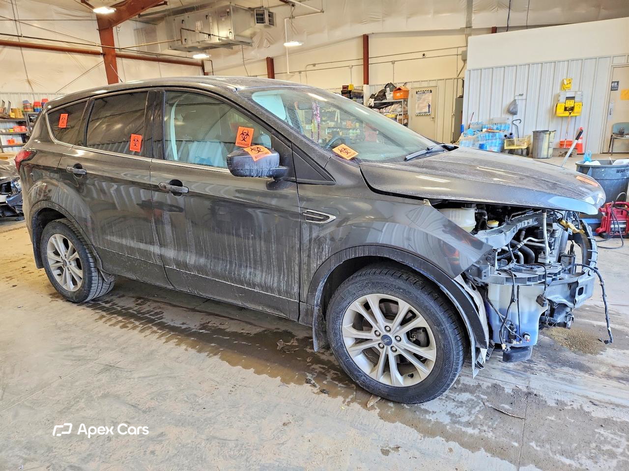 Ford Escape 2019