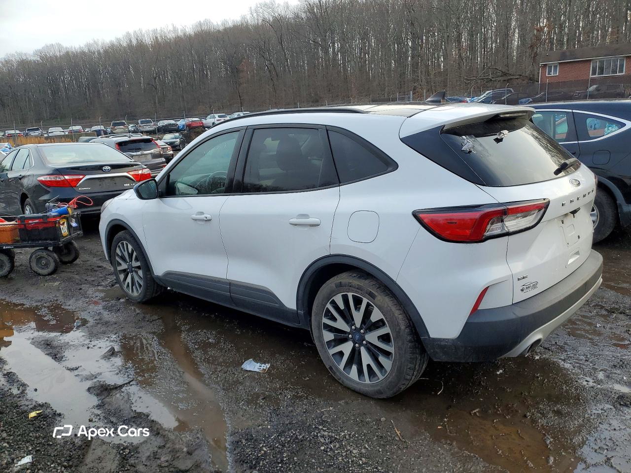 Ford Escape 2020