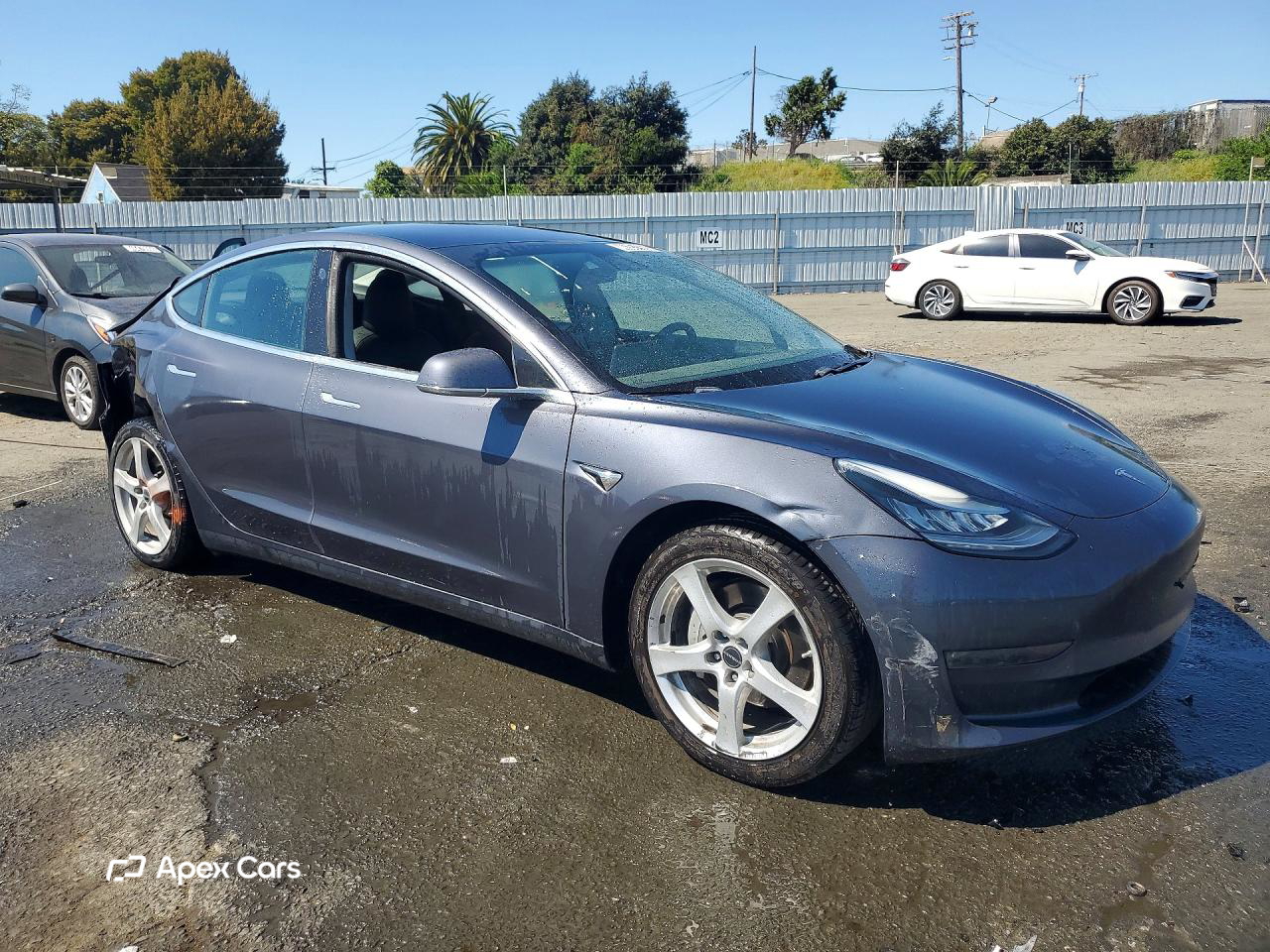 Tesla Model 3 2019