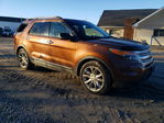 Ford Explorer 2012