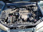 Honda Accord 2001