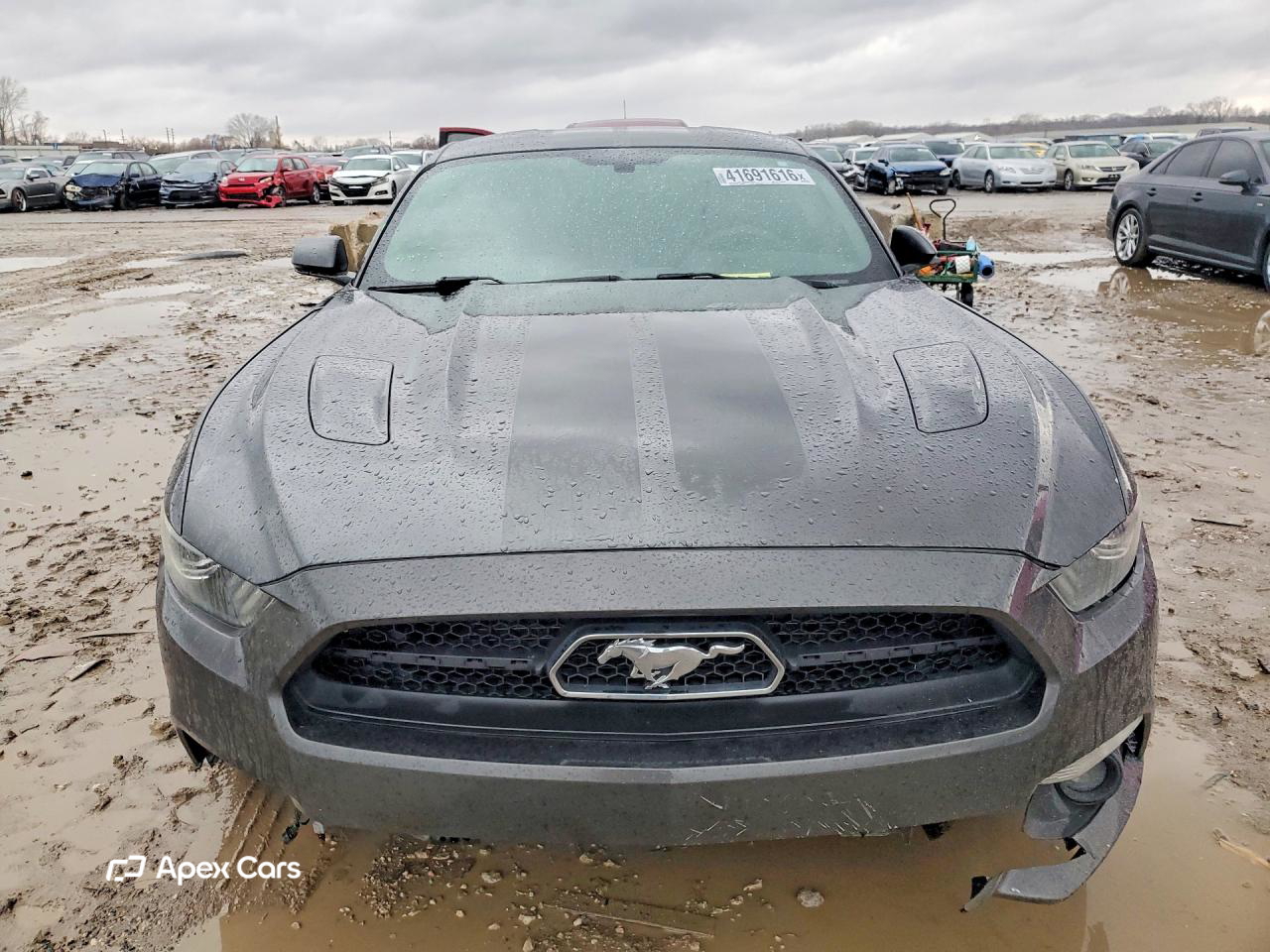 Ford Mustang 2015