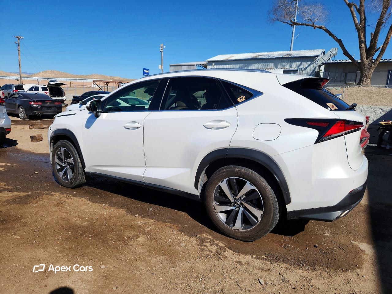 Lexus NX 2019