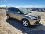 Ford Escape 2013