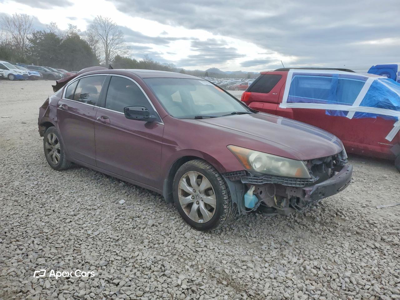 Honda Accord 2010