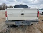 Ford F-150 2010