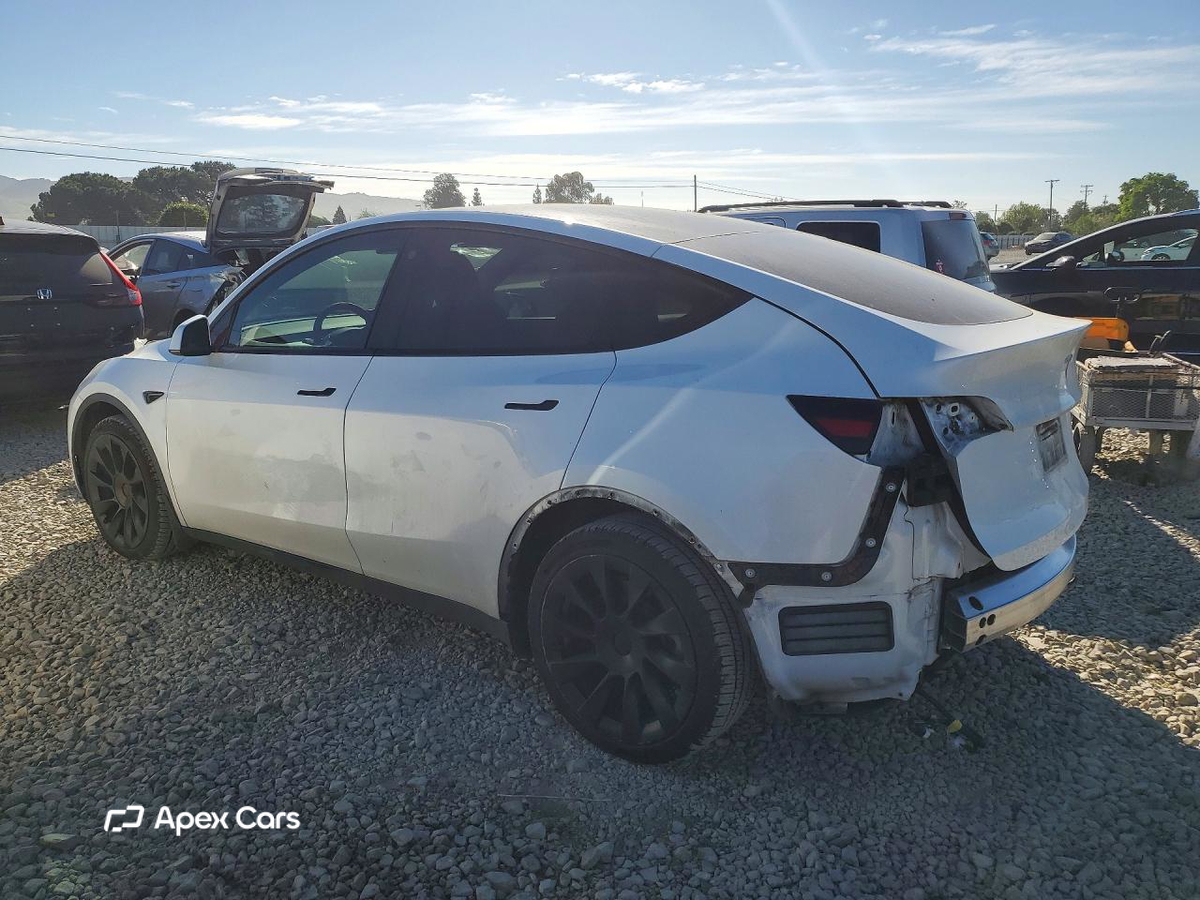 Tesla Model Y 2021
