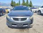 Honda Accord 2010