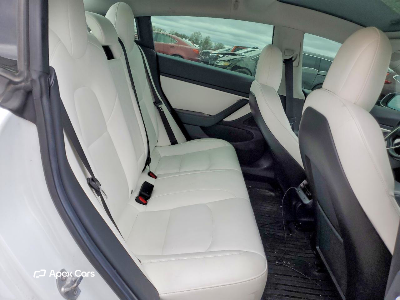 Tesla Model 3 2019