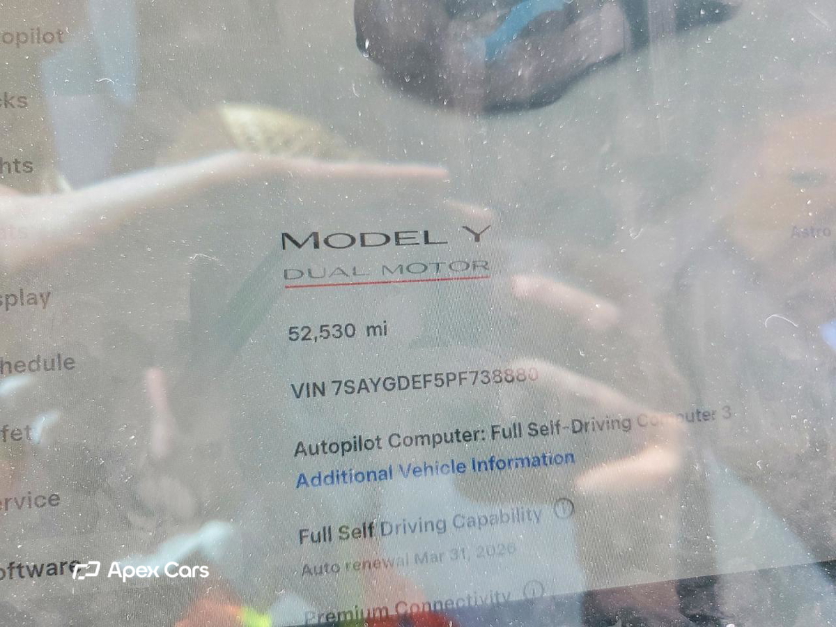 Tesla Model Y 2023
