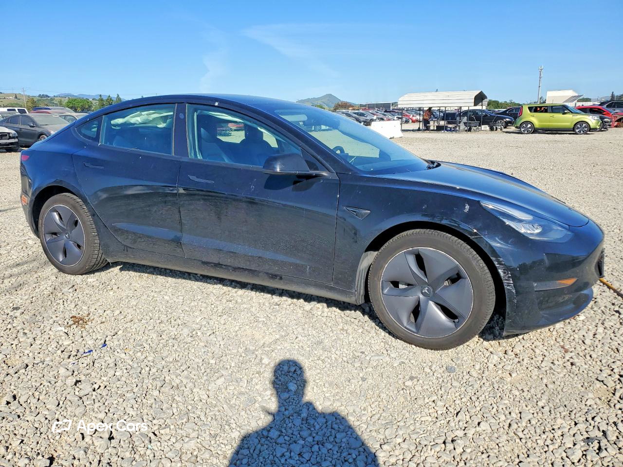 Tesla Model 3 2020