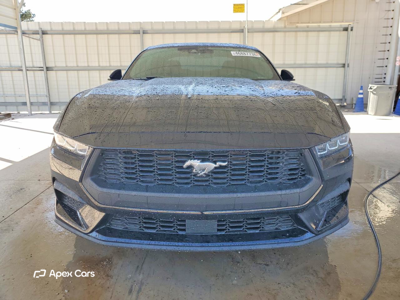 Ford Mustang 2024