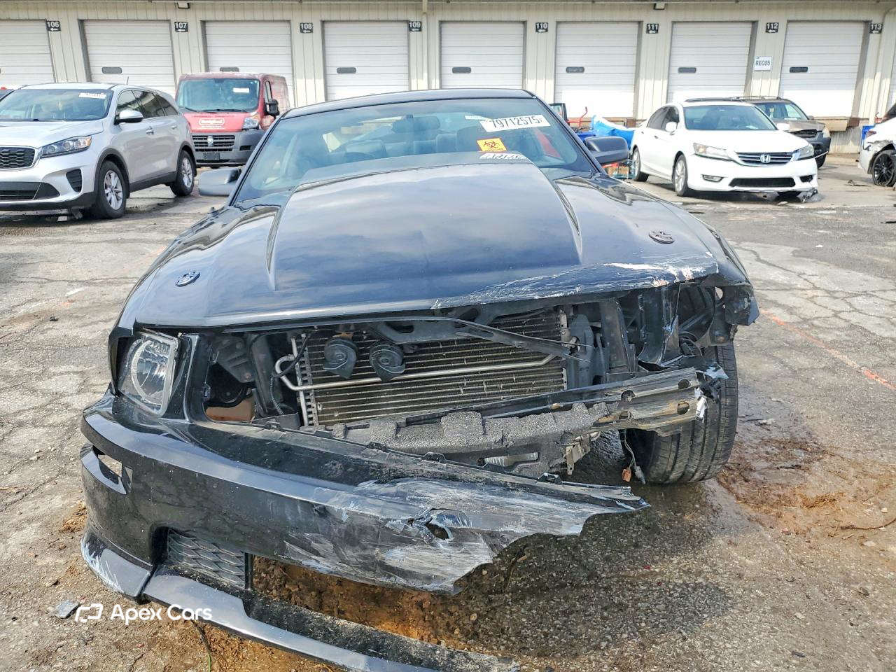 Ford Mustang 2007