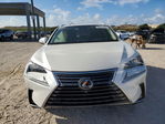 Lexus NX 2021