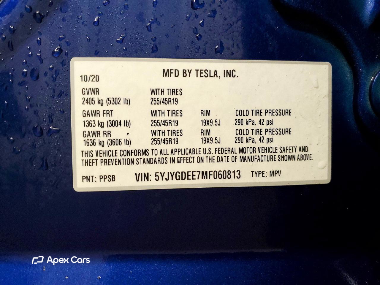 Tesla Model Y 2021