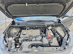 Toyota RAV 4 2023