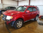 Ford Escape 2010