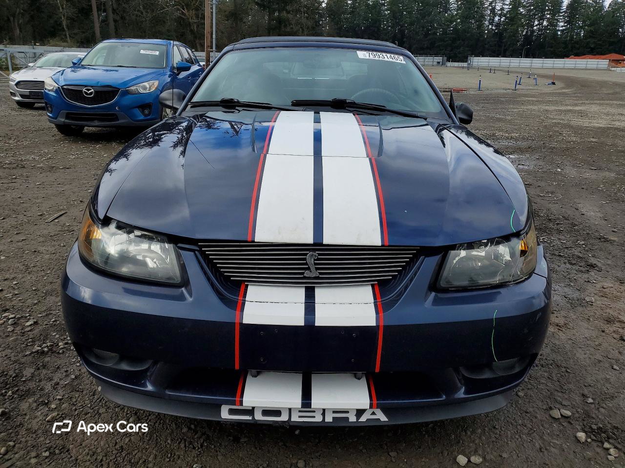 Ford Mustang 2001