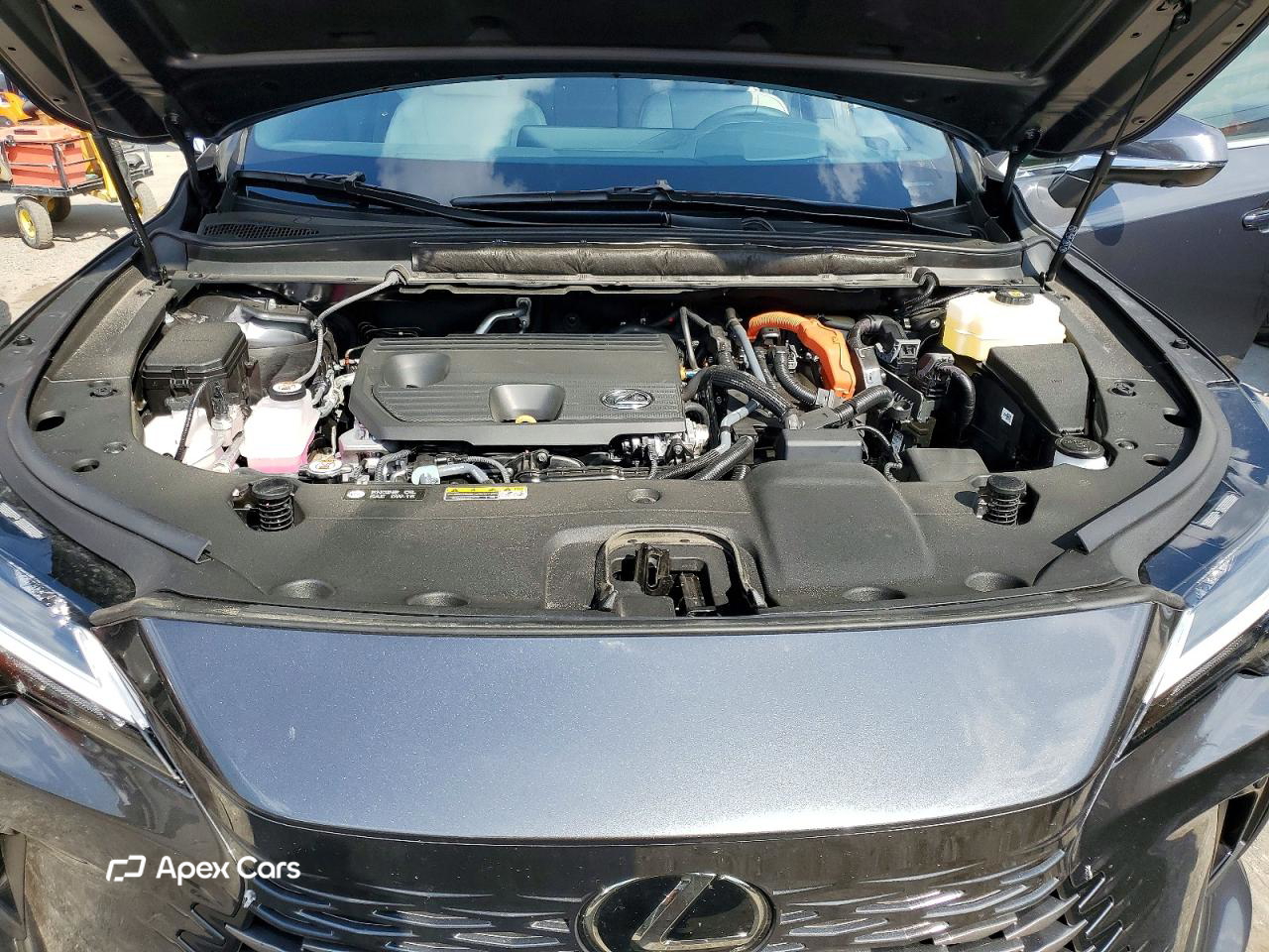 Lexus RX 2025