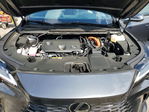 Lexus RX 2025