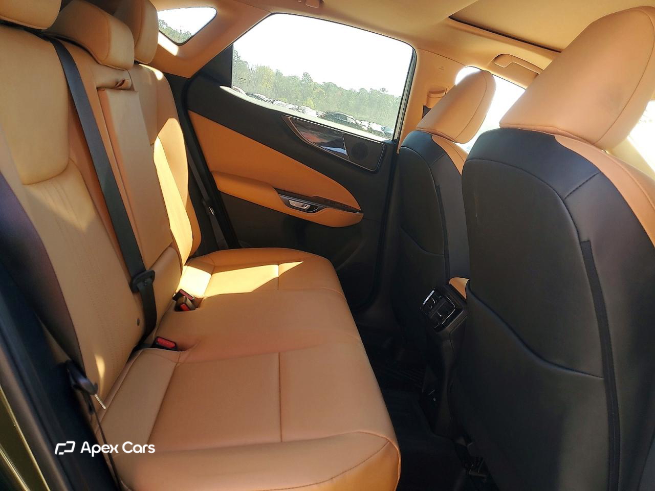 Lexus NX 2024