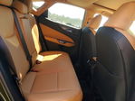 Lexus NX 2024