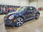 Volkswagen Beetle 2014