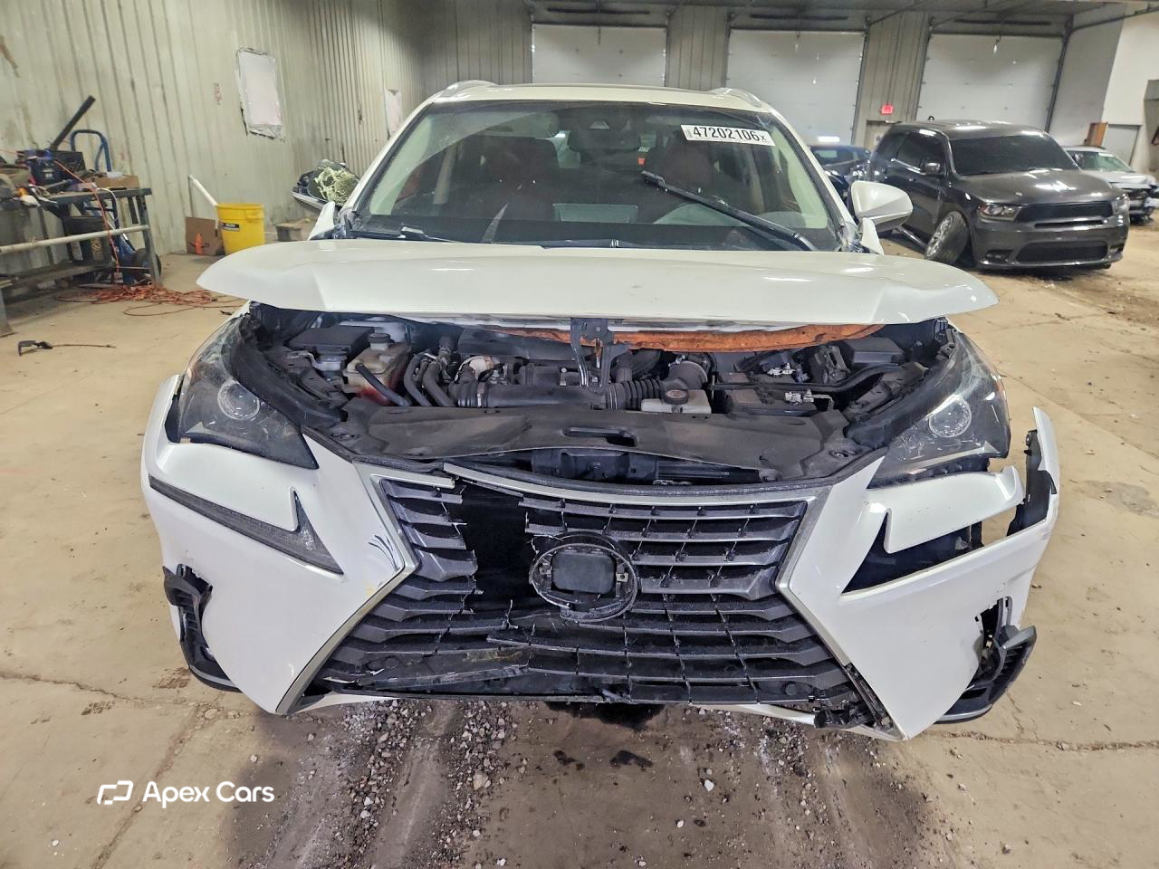 Lexus NX 2019