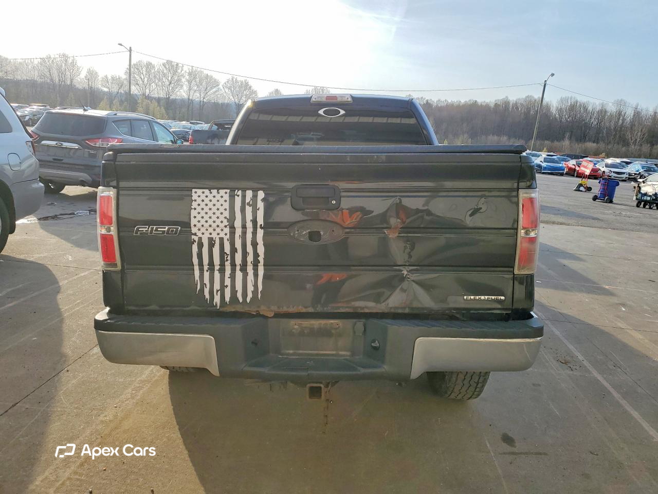 Ford F-150 2011