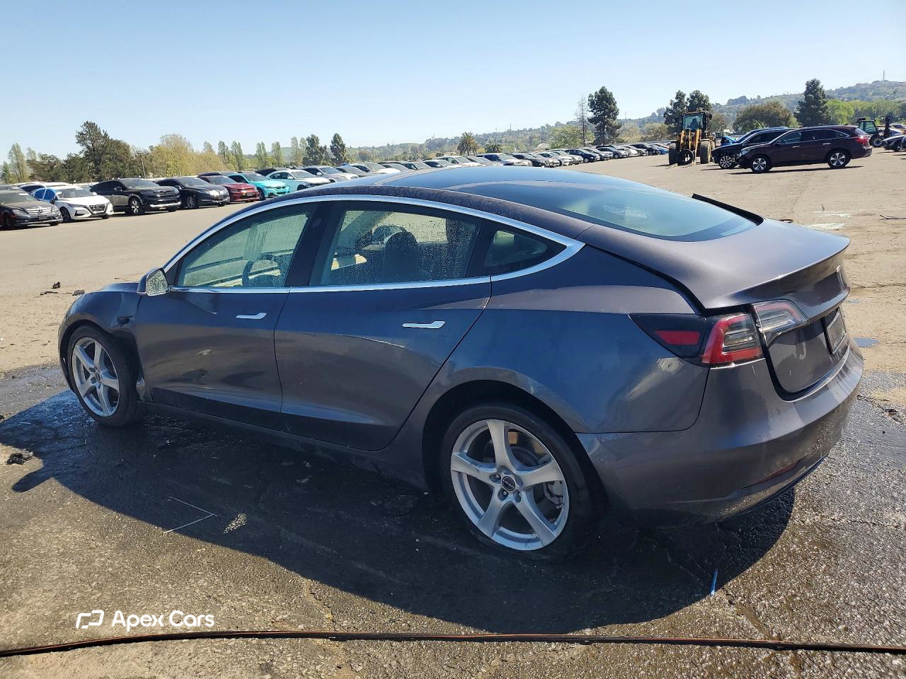 Tesla Model 3 2019