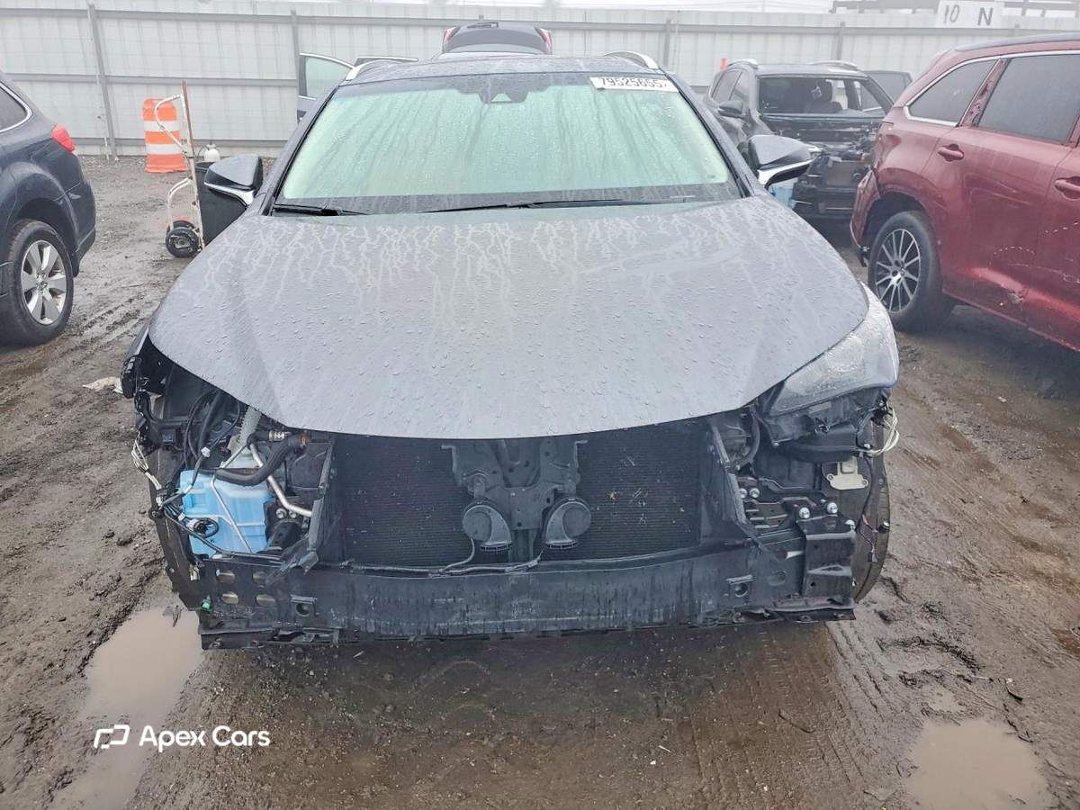 Lexus NX 2019