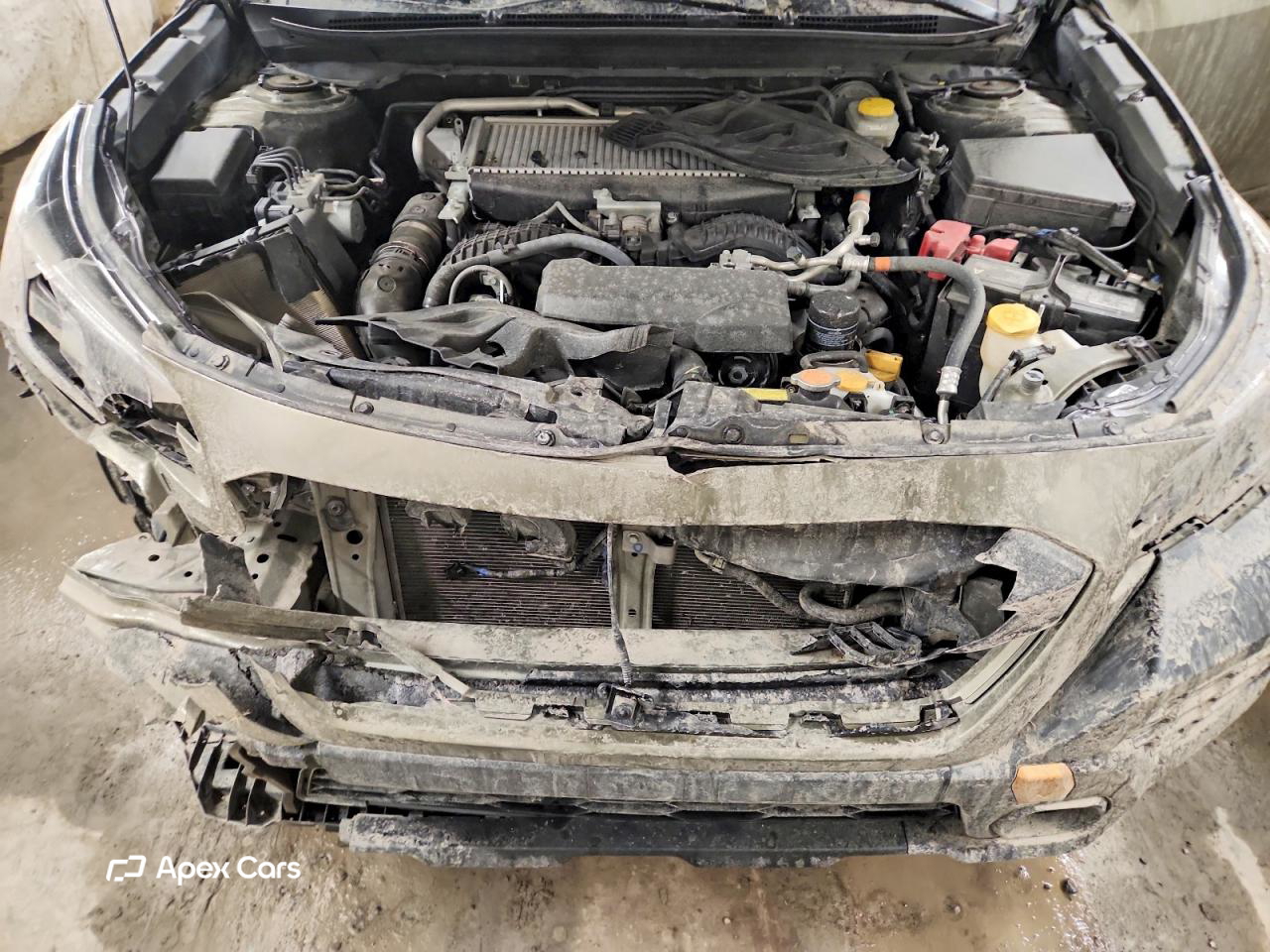 Subaru Outback 2024