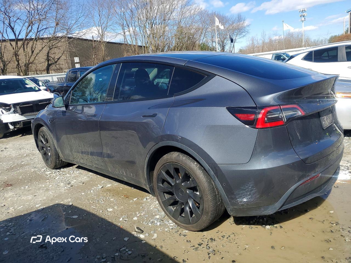 Tesla Model Y 2021