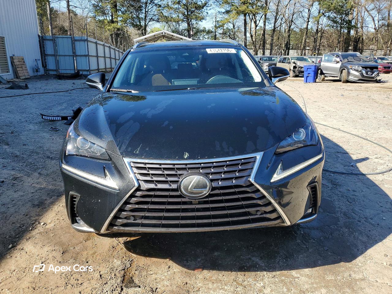 Lexus NX 2019