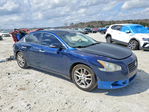 Nissan Maxima 2010