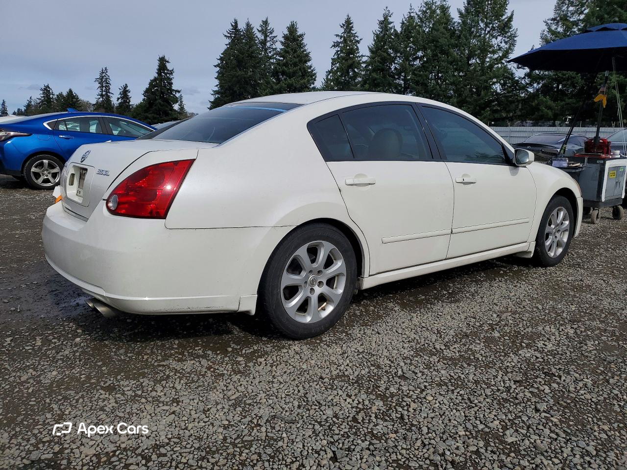 Nissan Maxima 2007