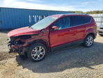 Ford Escape 2016
